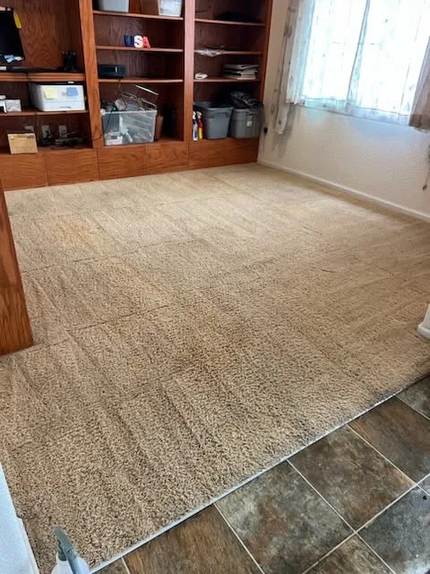 Freshly cleaned carpet in a living room, with the pass lines still showing