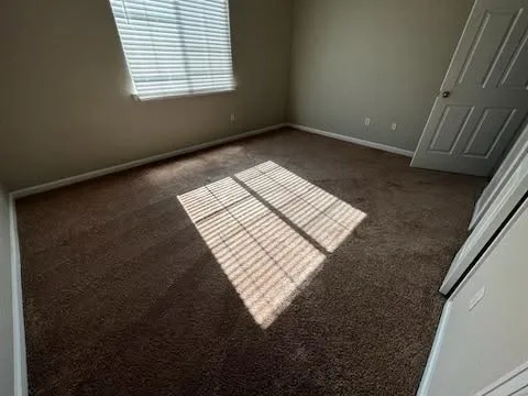 Carpeted room with afternoon light
